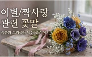 이별과 짝사랑의 감정을 담은 꽃말과 꽃종류 총정리 썸네일