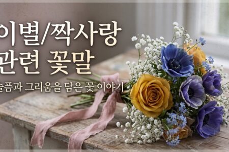 이별과 짝사랑의 감정을 담은 꽃말과 꽃종류 총정리 썸네일