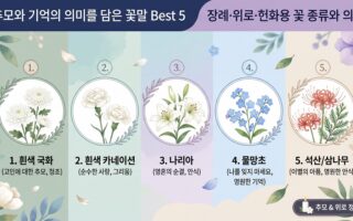 추모와 기억의 의미를 담은 꽃말 Best 5 장례·위로·헌화용 꽃 종류와 의미