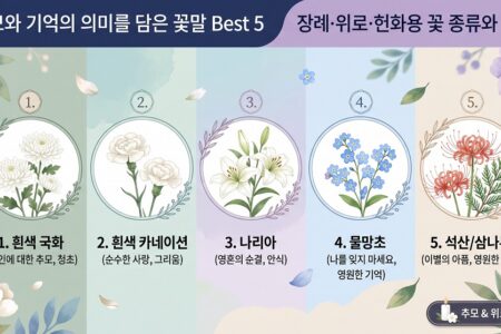 추모와 기억의 의미를 담은 꽃말 Best 5 장례·위로·헌화용 꽃 종류와 의미