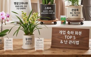 개업 축하 화분 추천 TOP 5 및 난 종류별 관리법