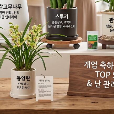 개업 축하 화분 추천 TOP 5 및 난 종류별 관리법