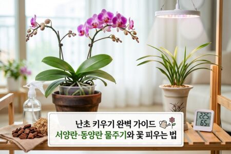 난초 키우기 완벽가이드 서양란 동양란 물주기방법과 다시 꽃피우는 법