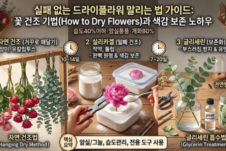 실패없는 드라이플라워 말리는법 가이드 꽃 건조기법과 색감 보존 노하우