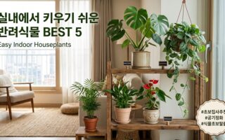 실내에서 키우기 쉬운 반려식물 꽃 추천 BEST 5