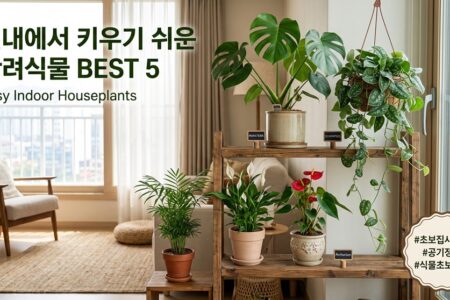 실내에서 키우기 쉬운 반려식물 꽃 추천 BEST 5