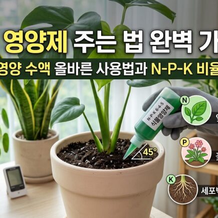 식물 영양제 주는법 완벽가이드 앰플형 영양수액 올바른 사용법
