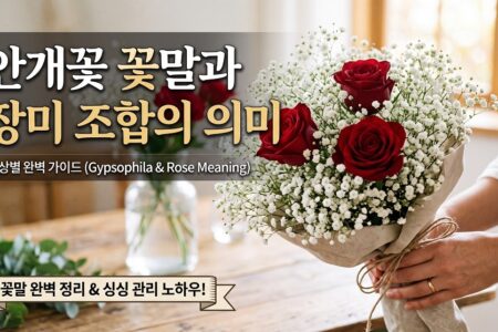 안개꽃 꽃말 장미 조합의 의미 색상별 완벽가이드