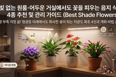 햇빛없는 원룸 어두운 거실에서도 꽃을 피우는 음지식물 4종 추천 및 관리가이드