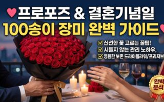 프로포즈와 결혼기념일 100송이 장미 구매 및 관리 완벽 가이드