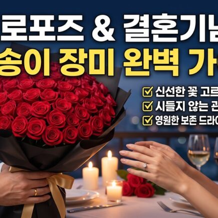 프로포즈와 결혼기념일 100송이 장미 구매 및 관리 완벽 가이드