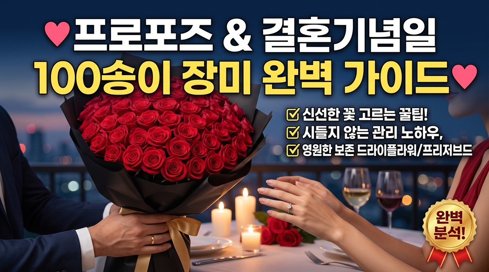 프로포즈와 결혼기념일 100송이 장미 구매 및 관리 완벽 가이드