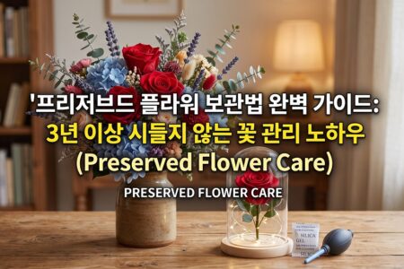 프리저브드 플라워 보관법 완벽가이드 3년이상 시들지 않는 꽃관리 노하우