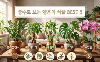 행운을 부르는 관엽식물과 꽃 종류 5가지: 집안의 기운을 바꾸는 플랜테리어 가이드