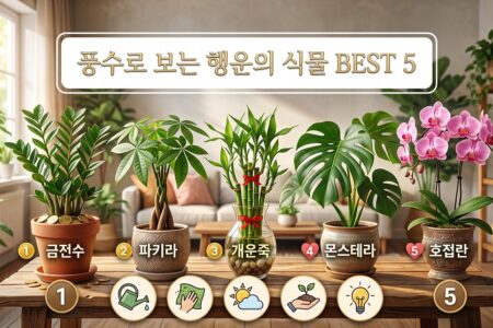 행운을 부르는 관엽식물과 꽃 종류 5가지: 집안의 기운을 바꾸는 플랜테리어 가이드