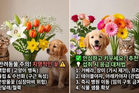 반려동물에게 치명적인 유독꽃 종류와 응급대처법