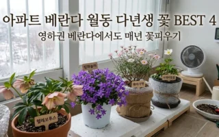 영하권 베란다에서도 매년 꽃피우는 다년생 화초 키우기 가이드