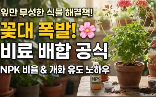 꽃대 많이 올리는 비료 배합공식 NPK 비율과 개화호르몬 조절 노하우