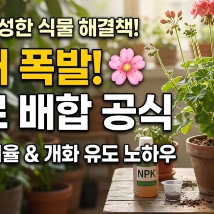 꽃대 많이 올리는 비료 배합공식 NPK 비율과 개화호르몬 조절 노하우