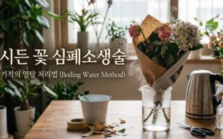 시든꽃 심폐소생술 열탕처리 와 도관회복을 위한 전문 물올림 가이드