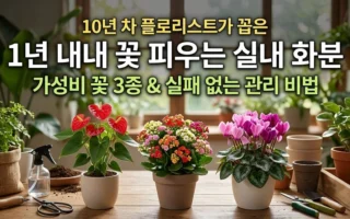 1년내내 꽃 피우는 실내 화분 추천 플로리스트가 꼽은 가성비 꽃 3종 관리비법