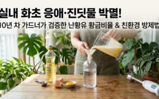 실내 화초 응애 진딧물 박멸 난황유 황금비율과 친환경 방제법