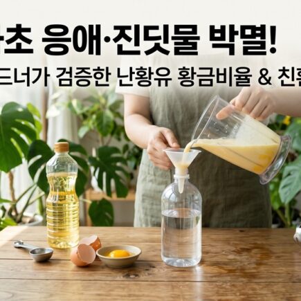 실내 화초 응애 진딧물 박멸 난황유 황금비율과 친환경 방제법