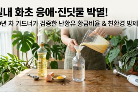 실내 화초 응애 진딧물 박멸 난황유 황금비율과 친환경 방제법
