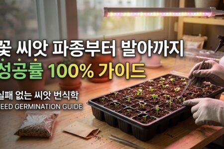 꽃 씨앗 파종부터 발아까지 성공 가이드 실패없는 씨앗 번식학