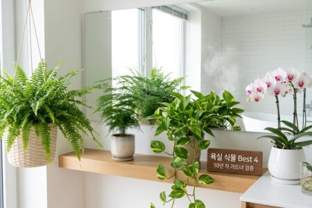 햇빛 없는 욕실에서도 썩지 않고 싱그럽게 버티는 식물 Best 4와 생존 공식
