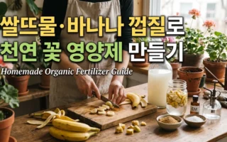 쌀뜨물 바나나 껍질로 천연 꽃 영양제 만들기