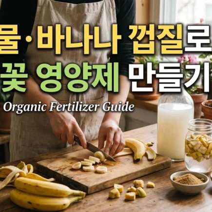 쌀뜨물 바나나 껍질로 천연 꽃 영양제 만들기