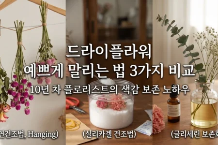드라이플라워 예쁘게 말리는법 3가지 비교 색감 보존 노하우
