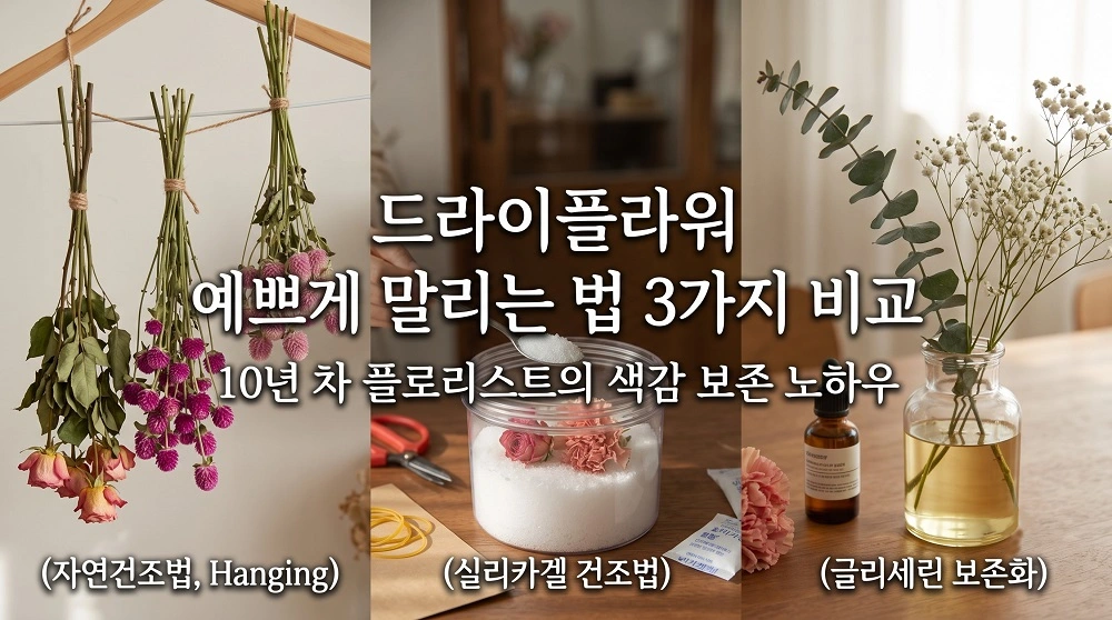 드라이플라워 예쁘게 말리는법 3가지 비교 색감 보존 노하우