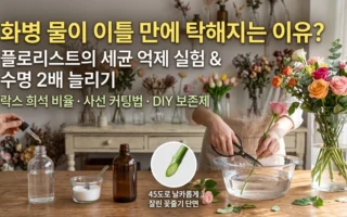 화병 물이 이틀만에 탁해지는 이유 플로리스트의 세균 억제 실험과 절화수명 2배 늘리기