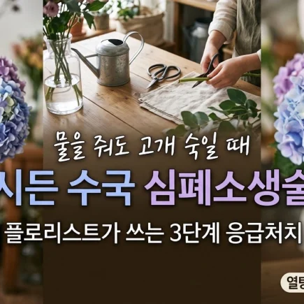 시든 수국 심폐소생술 물을 줘도 고개 숙일때 3단계 응급처치