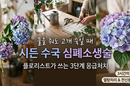 시든 수국 심폐소생술 물을 줘도 고개 숙일때 3단계 응급처치