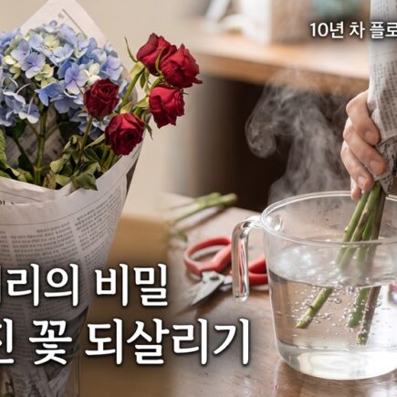 축 처진 꽃 되살리는 줄기 열탕 처리(Boiling) 실전 검증