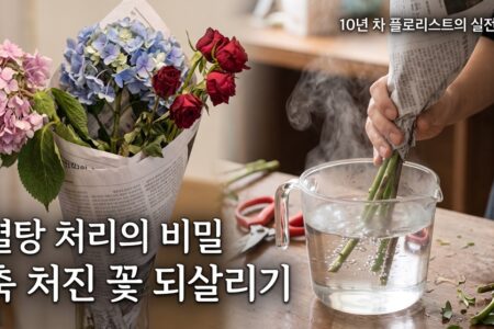 축 처진 꽃 되살리는 줄기 열탕 처리(Boiling) 실전 검증