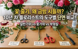 꽃 줄기 자를때 문구용 가위나 부엌칼 쓰면 왜 금방 시들까 도구별 절단 단면 비교