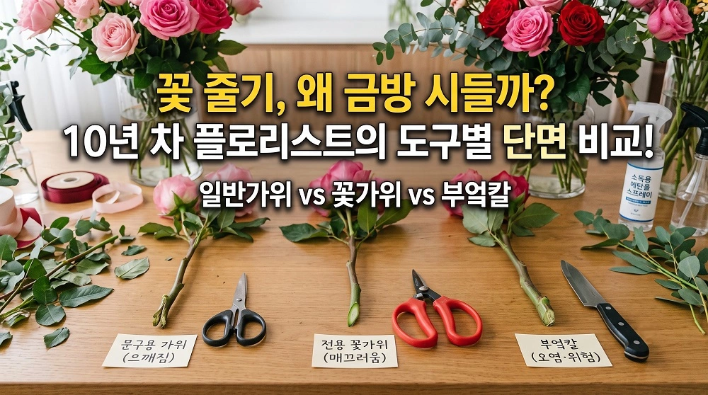 꽃 줄기 자를때 문구용 가위나 부엌칼 쓰면 왜 금방 시들까 도구별 절단 단면 비교