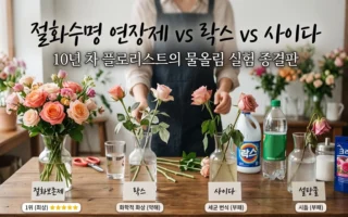 절화보존제, 꽃화병물주기, 꽃다발보관법, 꽃수명늘리기, 절화컨디셔닝, 물올림, 플로리스트팁