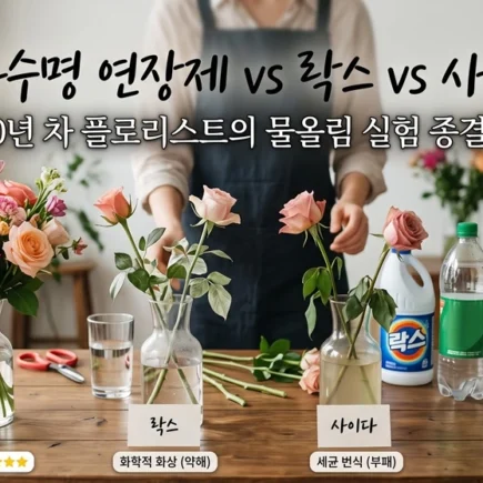 절화보존제, 꽃화병물주기, 꽃다발보관법, 꽃수명늘리기, 절화컨디셔닝, 물올림, 플로리스트팁